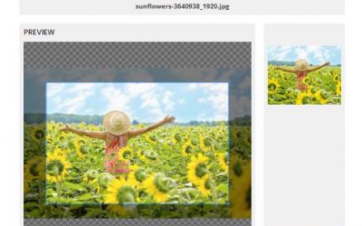 Create Picture Perfect Images With The ITSRAPID Image Crop Tool